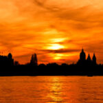 Anthony Bucci - avatar